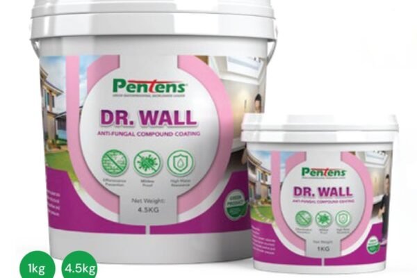 PENTENS DR.WALL ANTI-FUNGAL COMPOUND COATING
